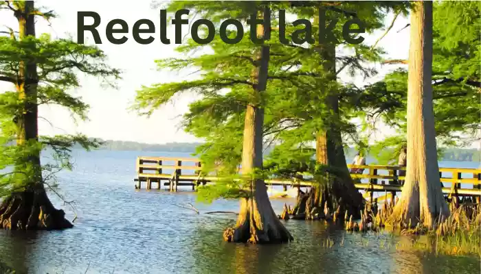 why can t you swim in Reelfoot lake 